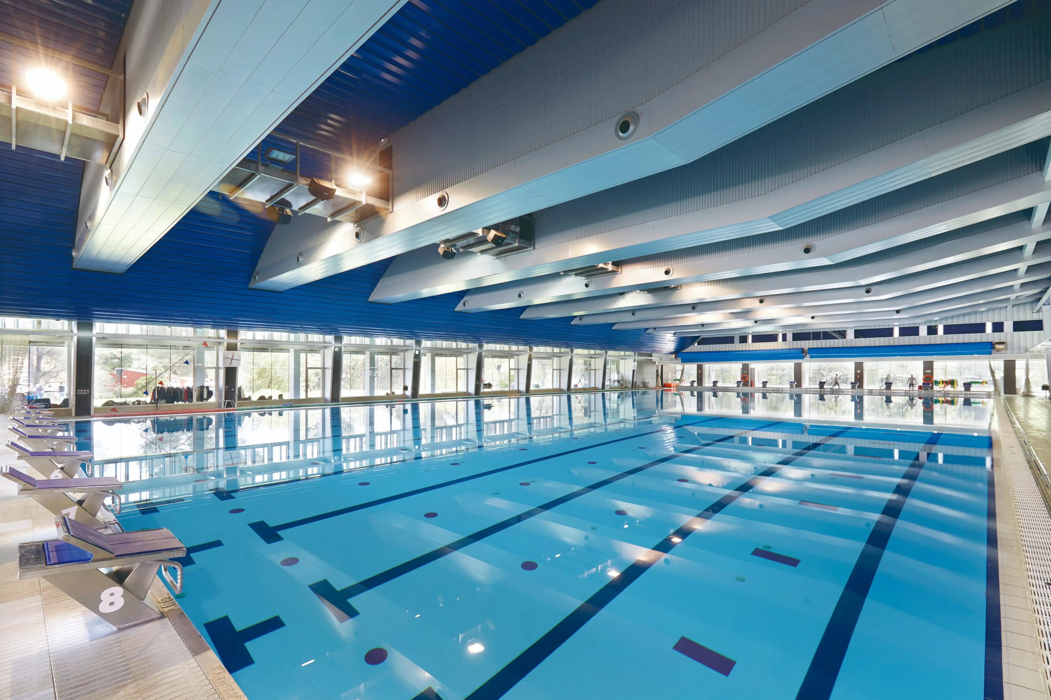 Hồ bơi thương mại